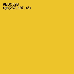 #EDC52B - Saffron Color Image