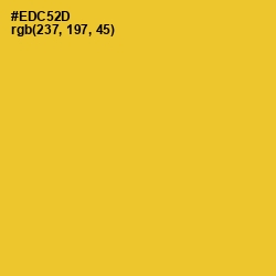 #EDC52D - Saffron Color Image