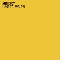 #EDC537 - Saffron Color Image