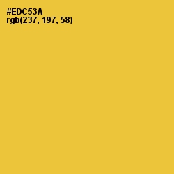 #EDC53A - Saffron Color Image
