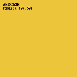 #EDC53B - Saffron Color Image