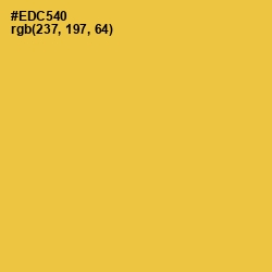 #EDC540 - Ronchi Color Image