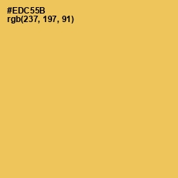 #EDC55B - Cream Can Color Image