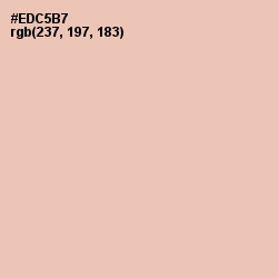 #EDC5B7 - Beauty Bush Color Image