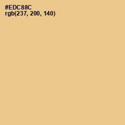 #EDC88C - Putty Color Image