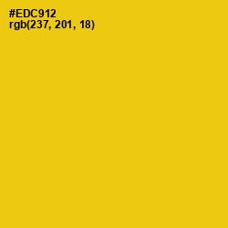 #EDC912 - Ripe Lemon Color Image