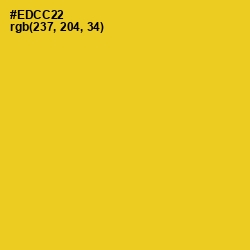 #EDCC22 - Sunflower Color Image