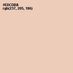 #EDCDBA - Just Right Color Image