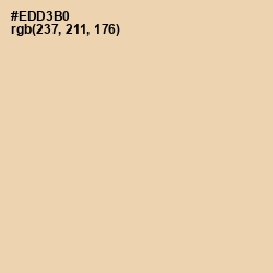 #EDD3B0 - Chamois Color Image