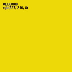 #EDD808 - School bus Yellow Color Image