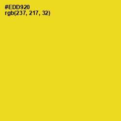 #EDD920 - Sunflower Color Image