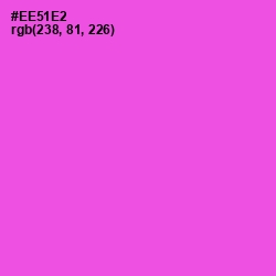 #EE51E2 - Orchid Color Image