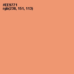 #EE9771 - Apricot Color Image