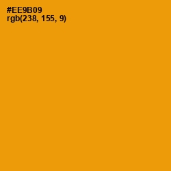 #EE9B09 - Gamboge Color Image