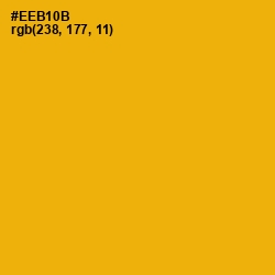 #EEB10B - Corn Color Image