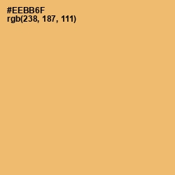 #EEBB6F - Equator Color Image