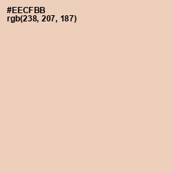 #EECFBB - Just Right Color Image