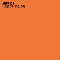 #EF7838 - Crusta Color Image