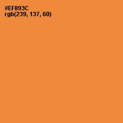 #EF893C - Jaffa Color Image