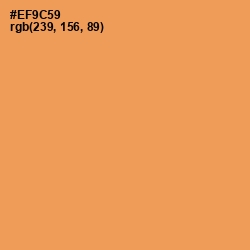 #EF9C59 - Tan Hide Color Image