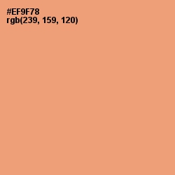 #EF9F78 - Apricot Color Image