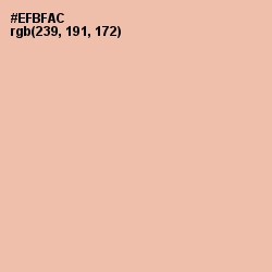 #EFBFAC - Cashmere Color Image