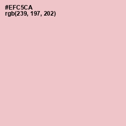 #EFC5CA - Oyster Pink Color Image