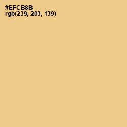 #EFCB8B - Putty Color Image
