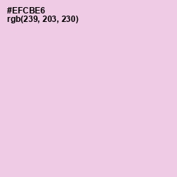 #EFCBE6 - French Lilac Color Image
