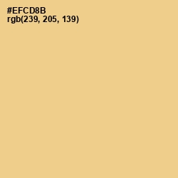 #EFCD8B - Putty Color Image