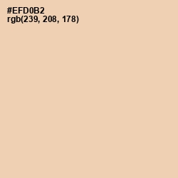#EFD0B2 - Chamois Color Image