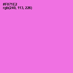 #F071E2 - Blush Pink Color Image