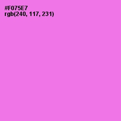 #F075E7 - Blush Pink Color Image