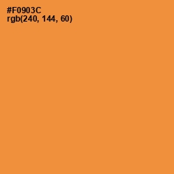 #F0903C - Neon Carrot Color Image