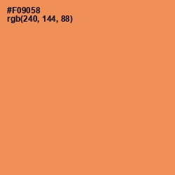 #F09058 - Tan Hide Color Image