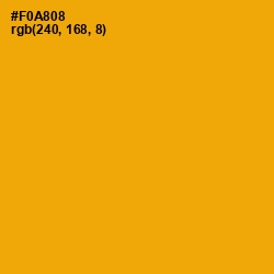 #F0A808 - Yellow Sea Color Image