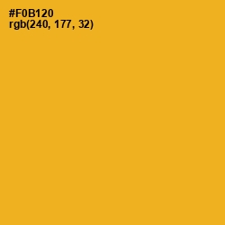 #F0B120 - Fuel Yellow Color Image