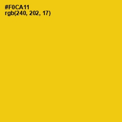 #F0CA11 - Lightning Yellow Color Image