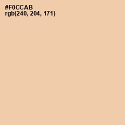 #F0CCAB - Flesh Color Image