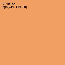 #F19F62 - Atomic Tangerine Color Image