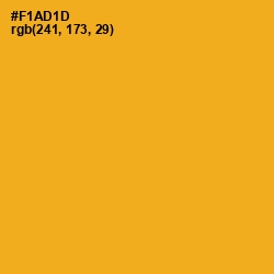 #F1AD1D - Buttercup Color Image