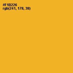 #F1B226 - Fuel Yellow Color Image