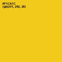 #F1CA1C - Lightning Yellow Color Image