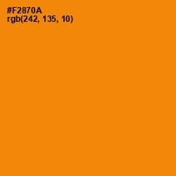 #F2870A - Tangerine Color Image