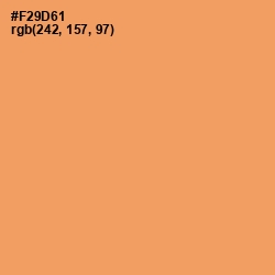 #F29D61 - Atomic Tangerine Color Image
