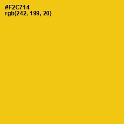 #F2C714 - Lightning Yellow Color Image