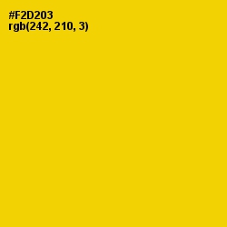 #F2D203 - Gold Color Image