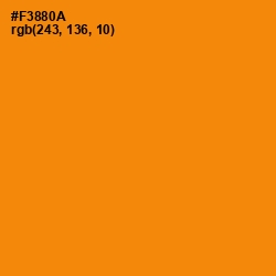 #F3880A - Tangerine Color Image