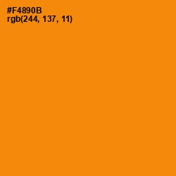 #F4890B - Tangerine Color Image