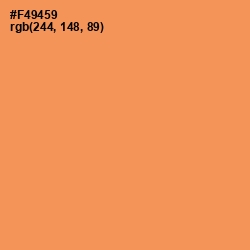 #F49459 - Tan Hide Color Image